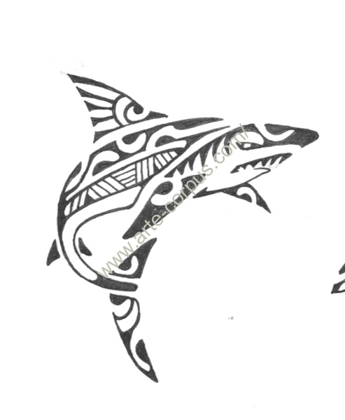 squale1