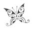 papillon1
