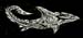 requin polynesien