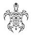 tortue2