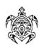 tortue8