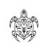 tortue9